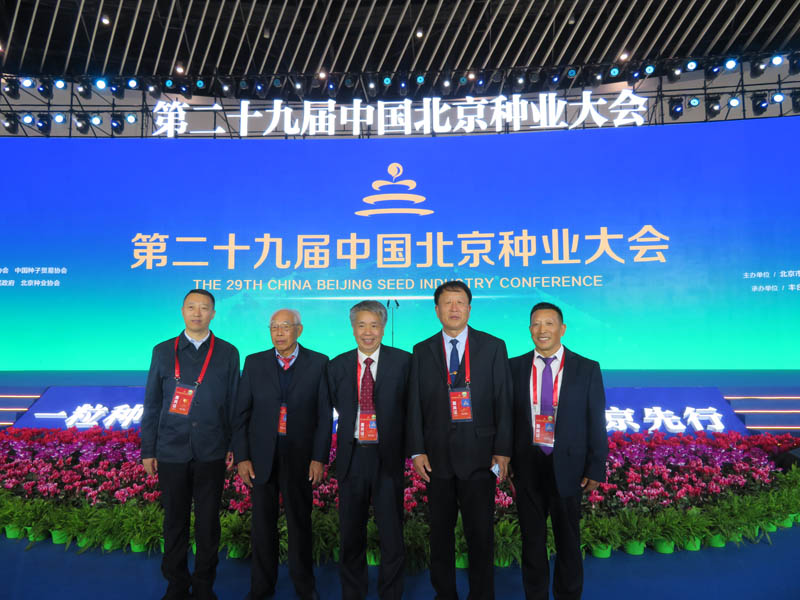 2024新澳门全年免费原料网