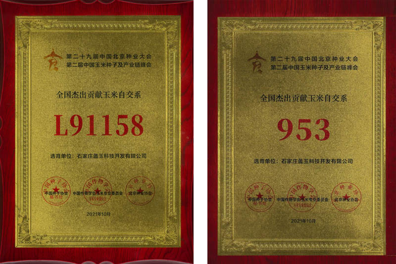 2024新澳门全年免费原料网