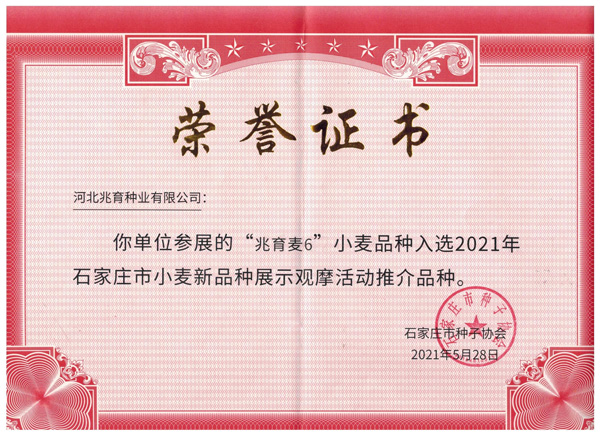 2024新澳门全年免费原料网