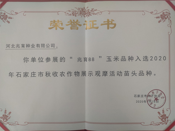 2024新澳门全年免费原料网
