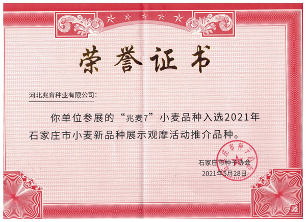 2024新澳门全年免费原料网